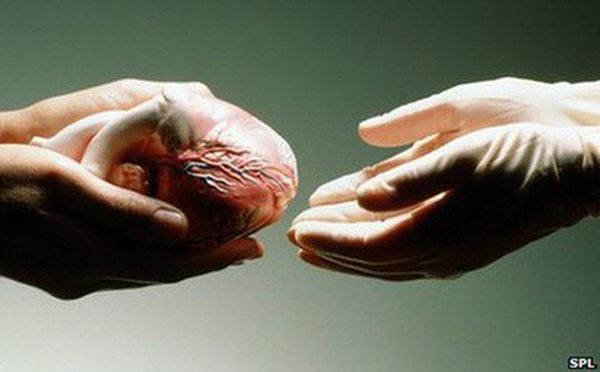Những ai có thể đăng ký hiến mô, tạng?